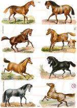 Vintage-Glanzbilder, Pferde, 3Blatt