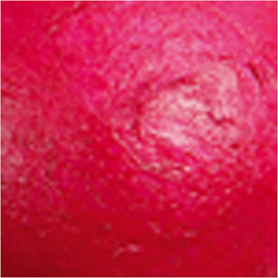 A-Color Acrylfarbe, Pink, 01- Glänzend, 500ml