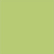 Plus Color Bastelfarbe, Lindgrün, 250ml
