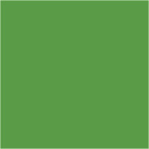 Plus Color Bastelfarbe, Hellgrün, 250ml