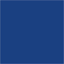 Holzperlen, D:12 mm, Lochgröße 3 mm, Blau, 22g (ca. 40 Stück)