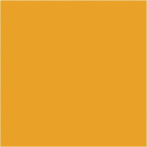 Stempelkissen, 35 x 20 mm, Outback Orange (17) NEON