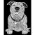 Hund, Pitbull ( 47 x 35 cm )